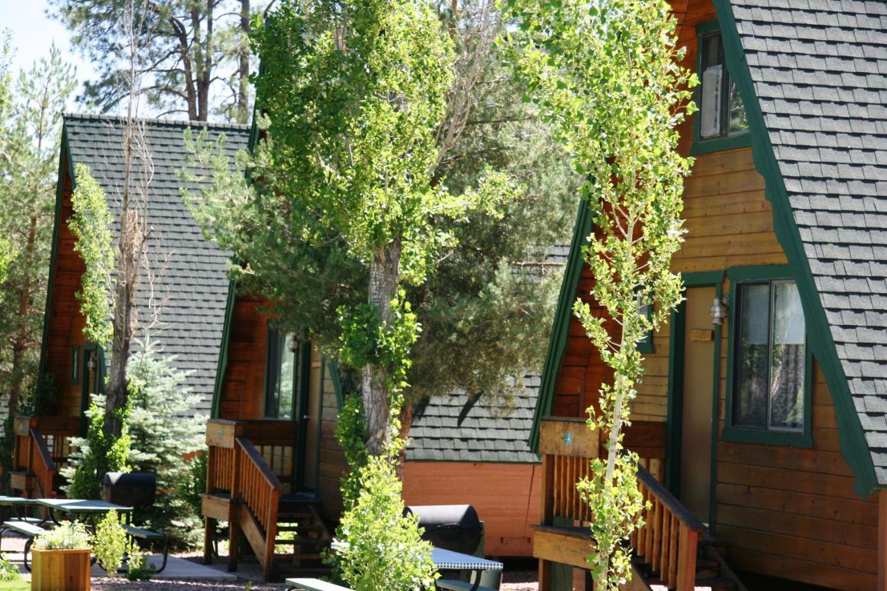 ホテルCabins On Strawberry Hill Pine エクステリア 写真